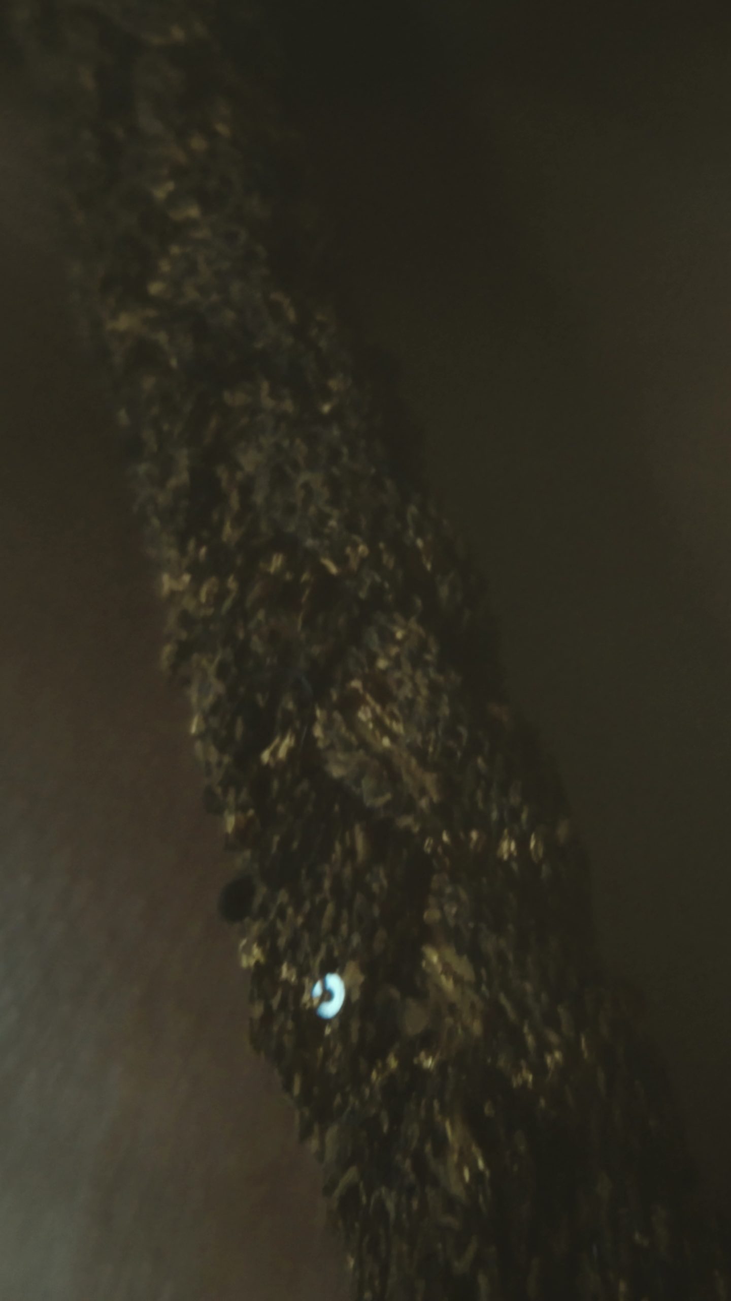 VideoCapture_20251224-132149