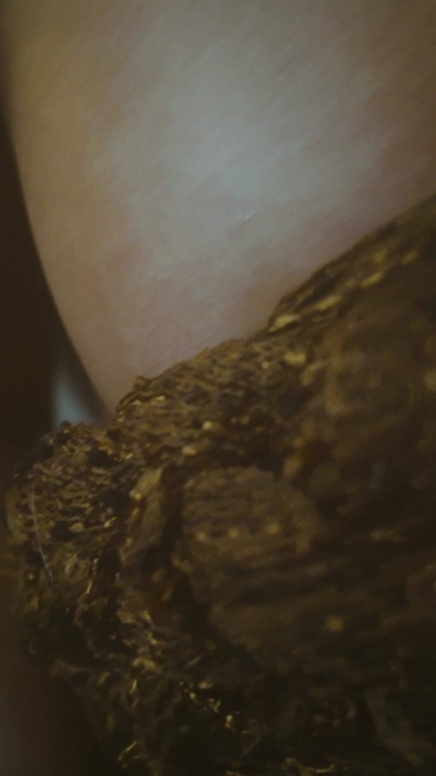VideoCapture_20251224-132159