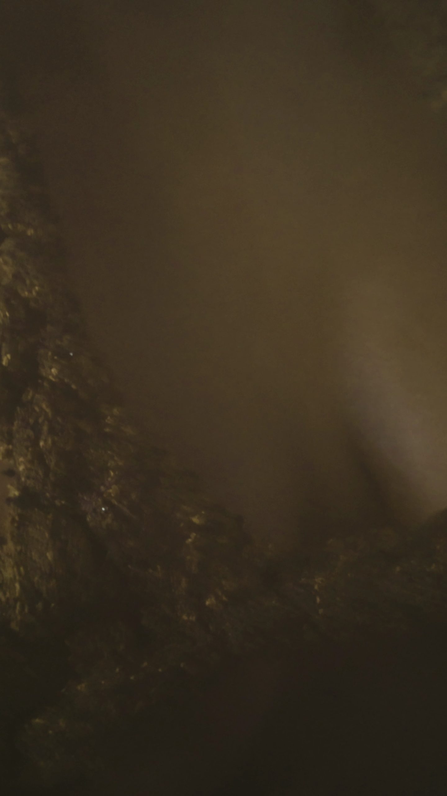 VideoCapture_20251224-132243